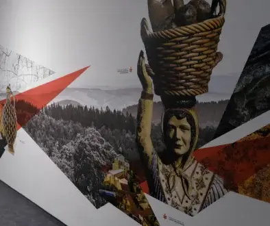 custom printed mural in Denver office hallway