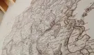 Portfolio 15